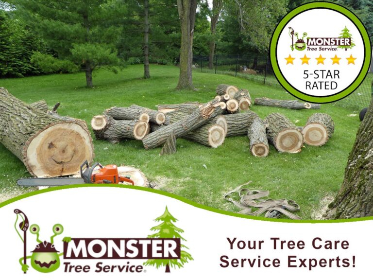 Best Shrub Trimming Services in Town