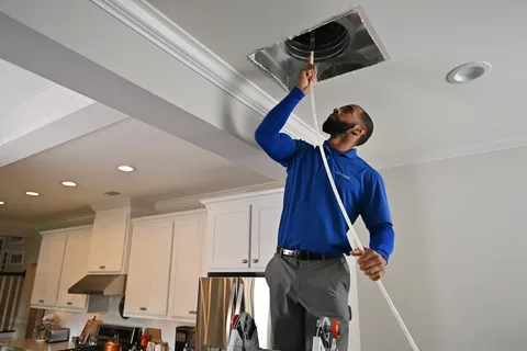 Signs Your Home Needs Air Duct Cleaning in Columbia, TN After Critter Intrusion