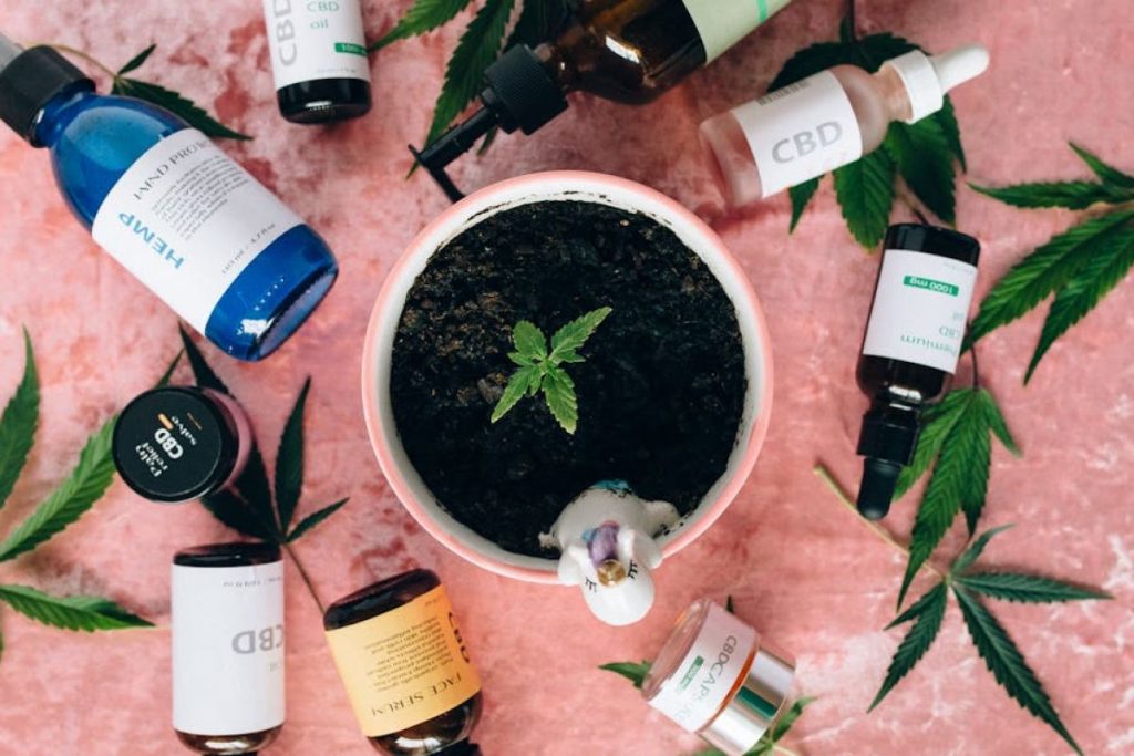Starting Smart: A Beginner’s Roadmap to Understanding CBD Tinctures