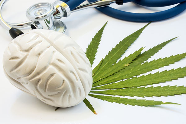 Understanding the Health Effects and Risks of Cannabis Use