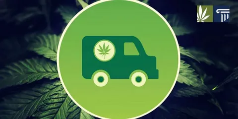 CBD premuim store