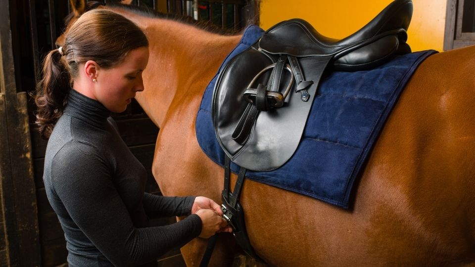 Western Saddle Buying Guide: How to Choose the Right Saddle for Your Horse and Riding Style